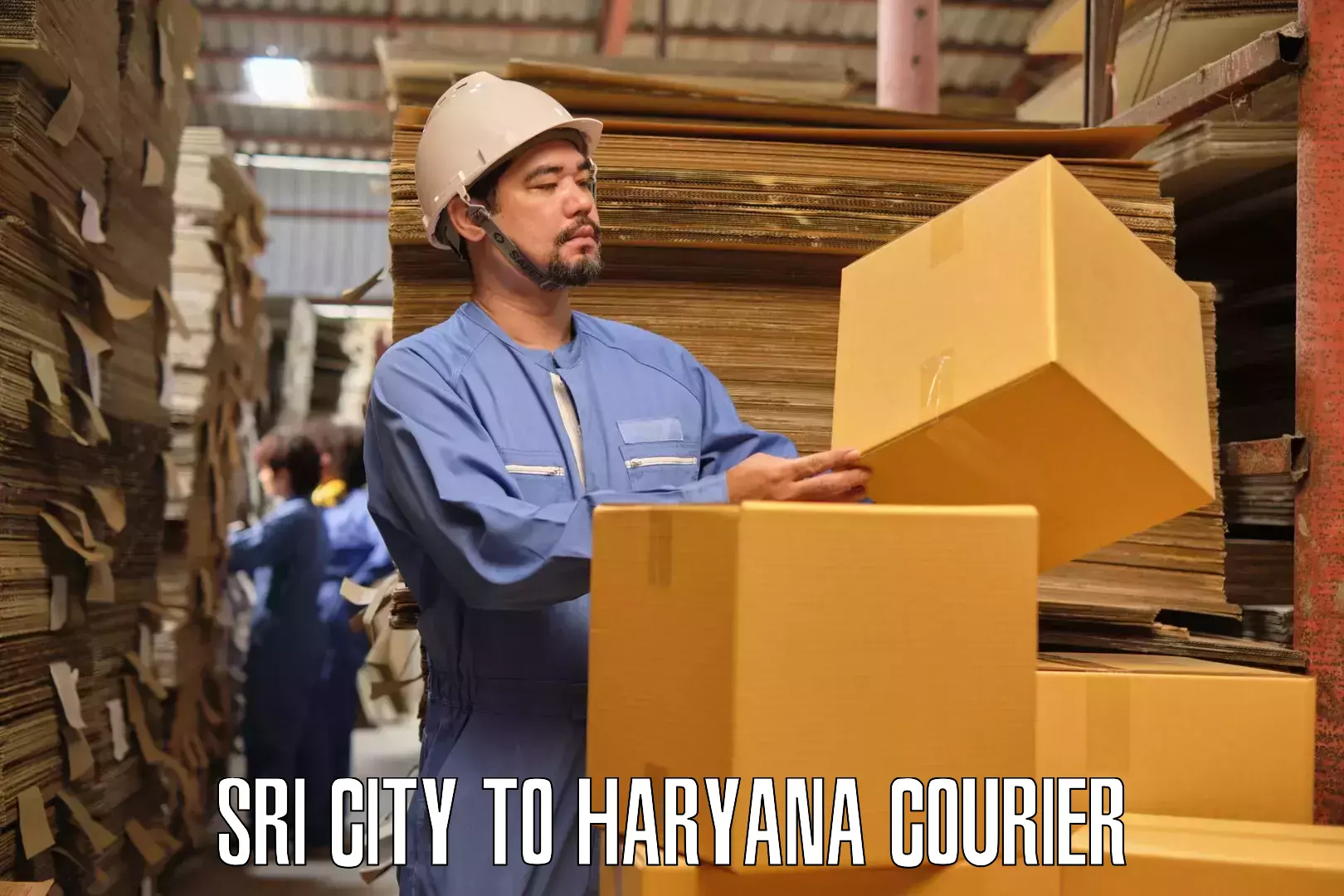 Local household moving Sri City to Sirsa