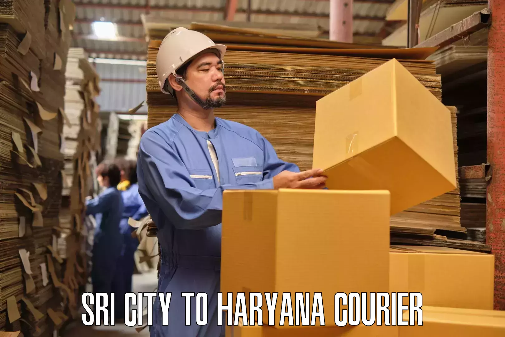 Home goods moving company Sri City to Ratia