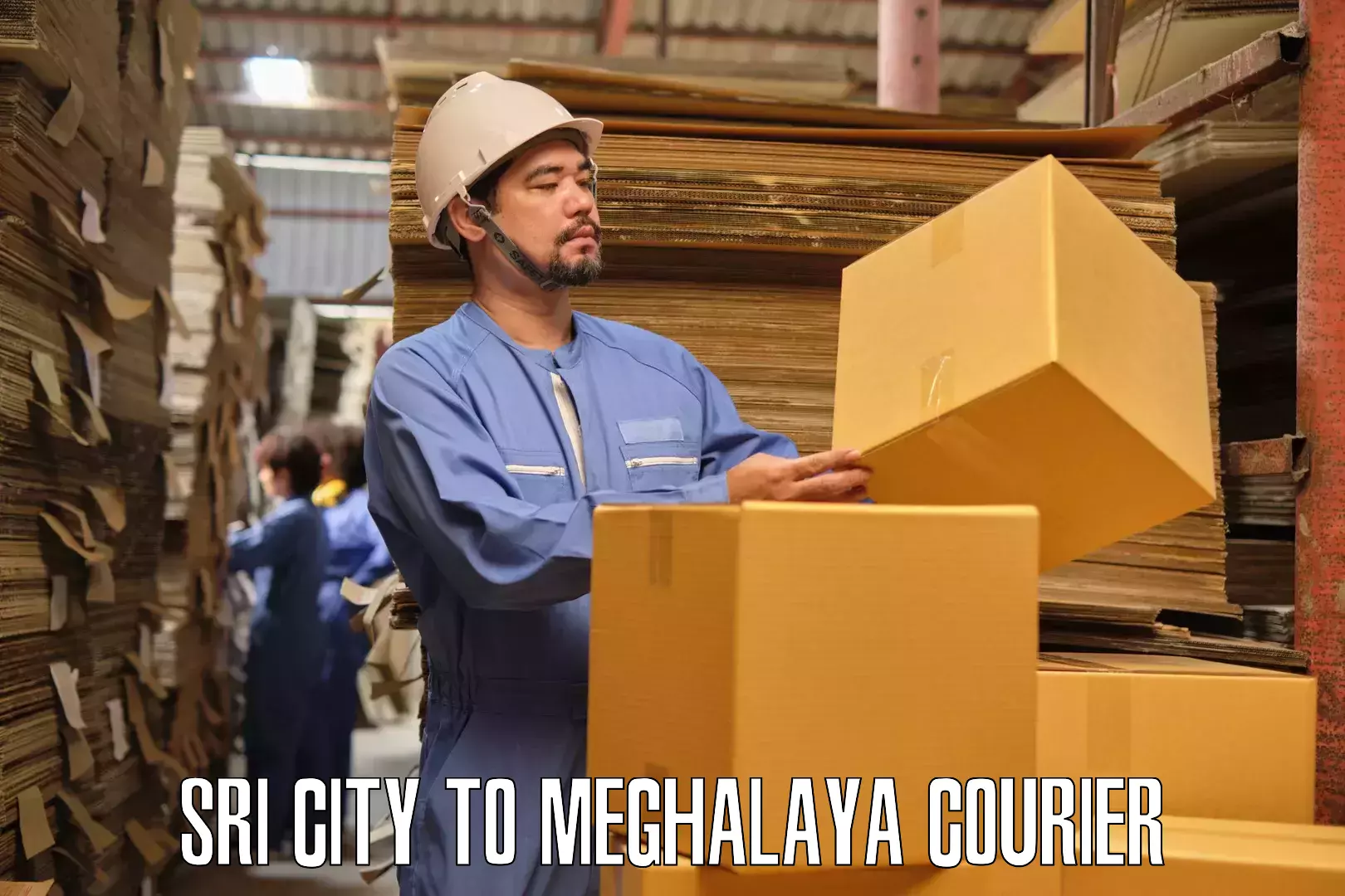 Professional home shifting Sri City to Meghalaya