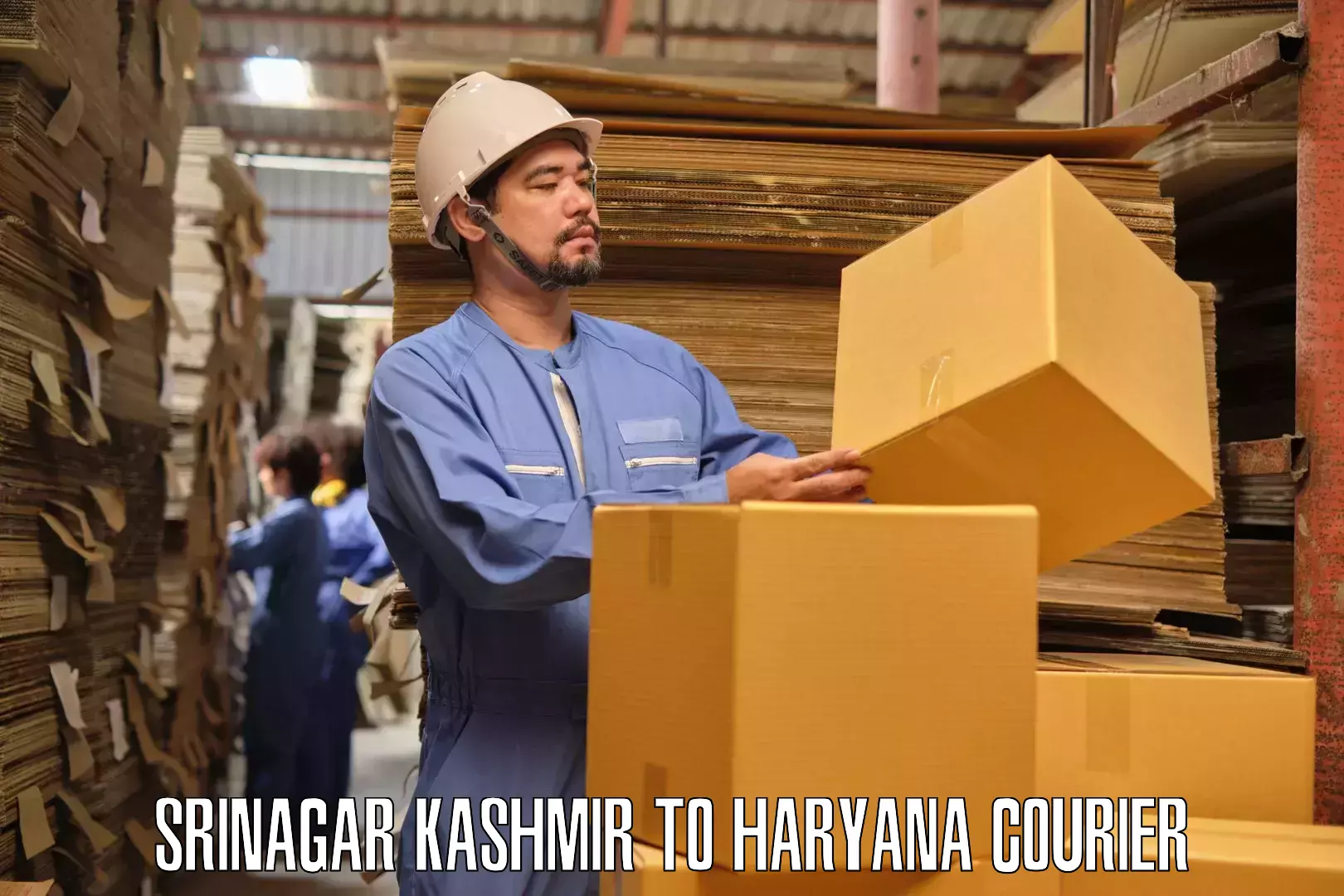 Professional packing services Srinagar Kashmir to Gurgaon