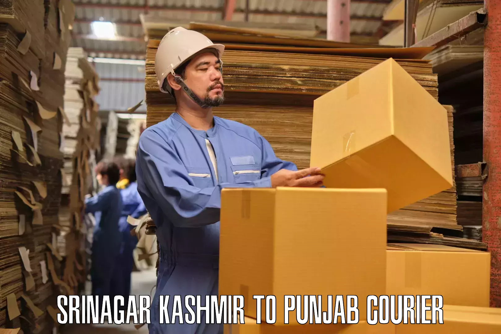 Furniture moving service Srinagar Kashmir to Malout