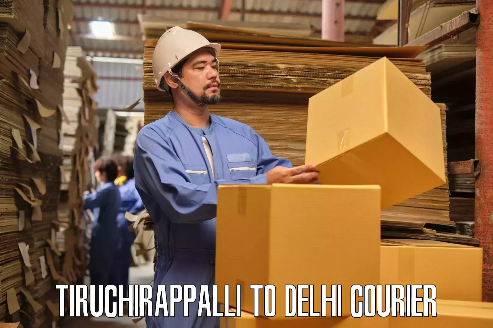Personalized relocation solutions Tiruchirappalli to Delhi Technological University DTU
