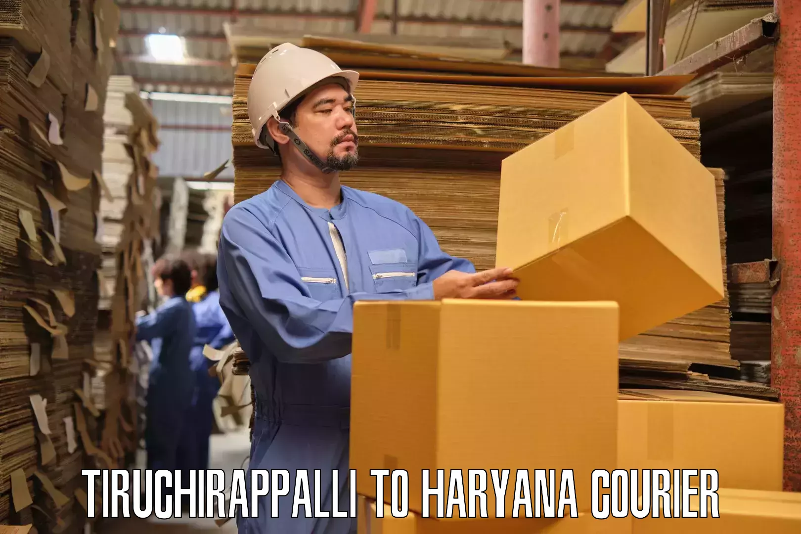 Expert goods movers in Tiruchirappalli to Taraori
