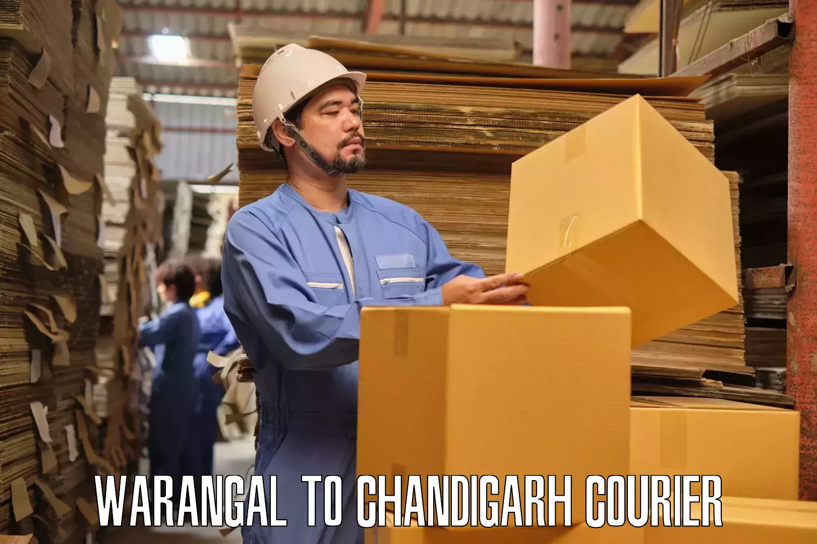 Residential furniture transport Warangal to Panjab University Chandigarh