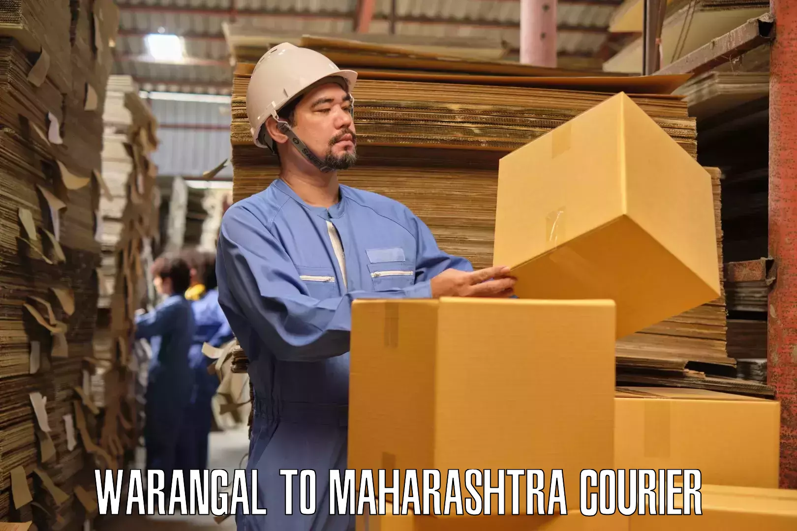 Professional furniture moving in Warangal to Mahad