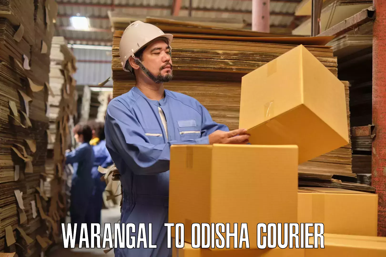 Professional furniture movers Warangal to Padampur Bargarh