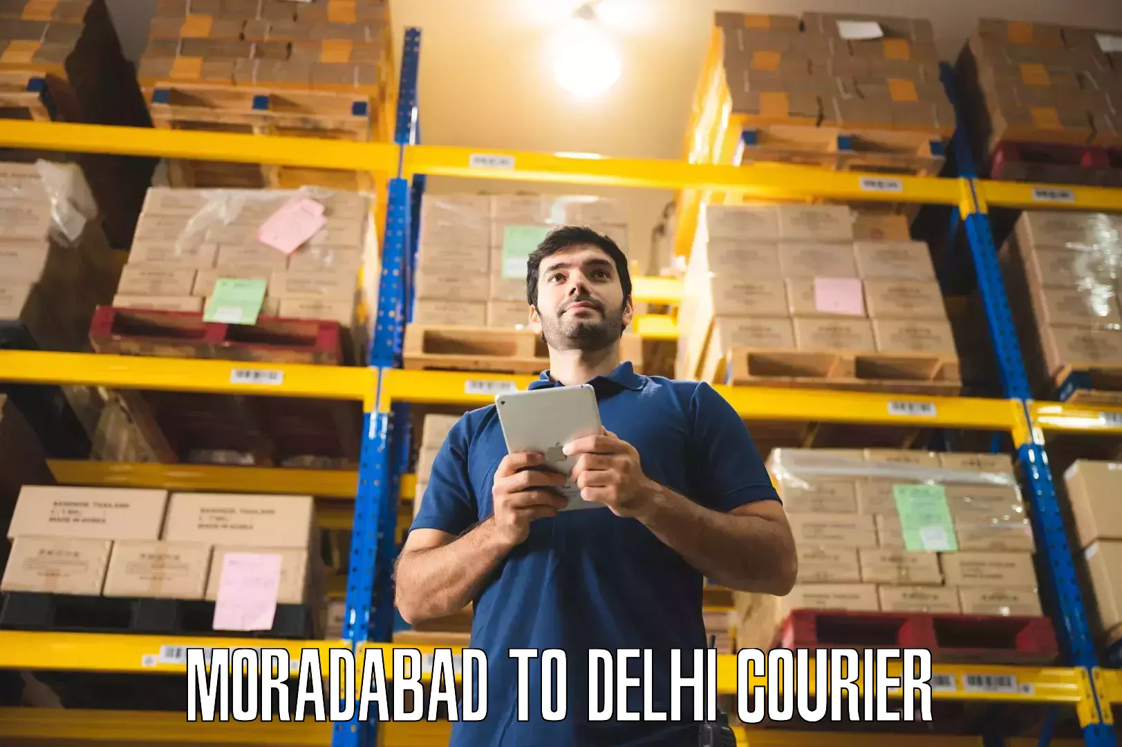 Quality furniture shipping Moradabad to Krishna Nagar