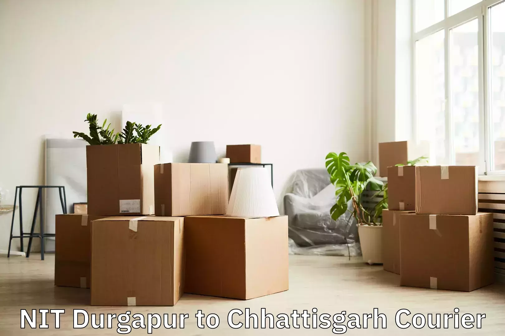Global baggage shipping NIT Durgapur to Bilaspur
