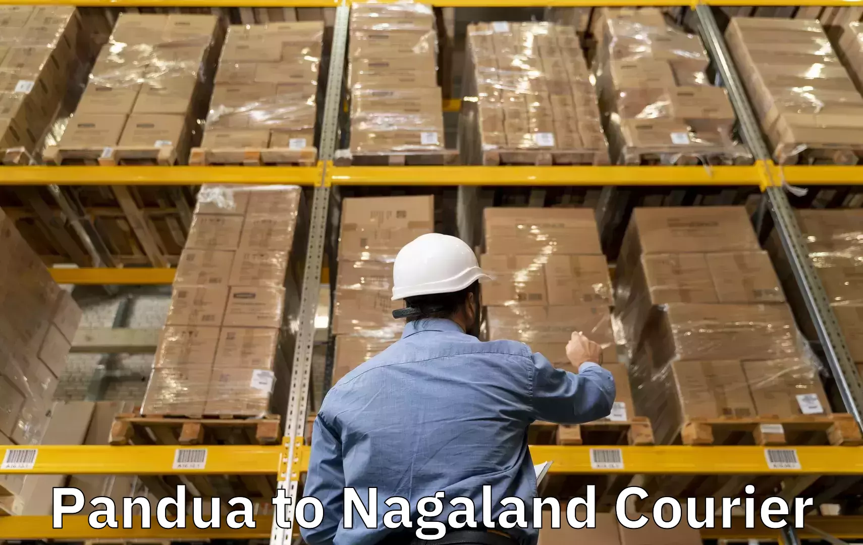 Online luggage shipping booking in Pandua to NIT Nagaland