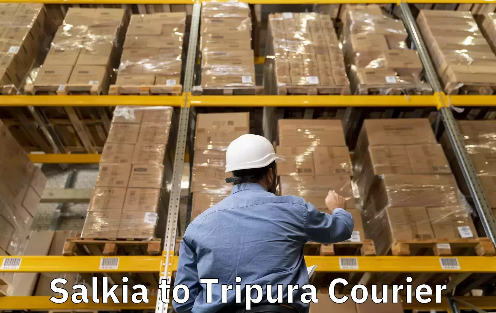 Luggage shipping rates calculator Salkia to Agartala