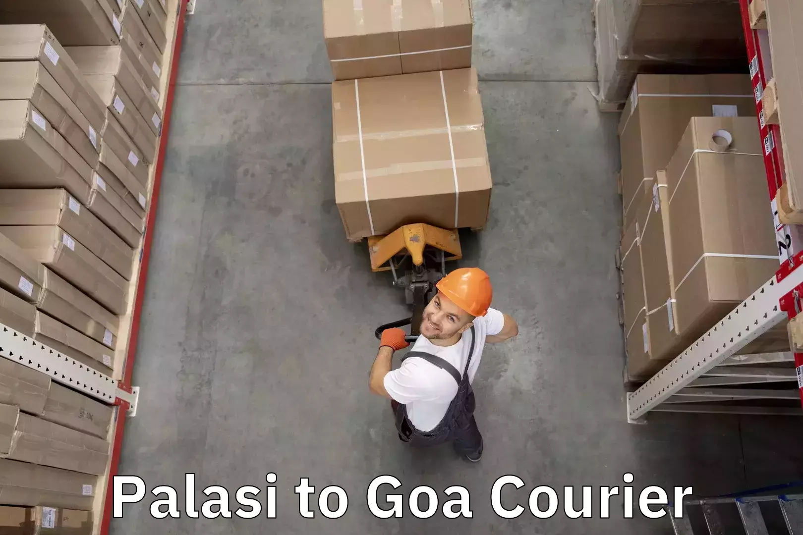 Luggage shipping guide Palasi to Bicholim