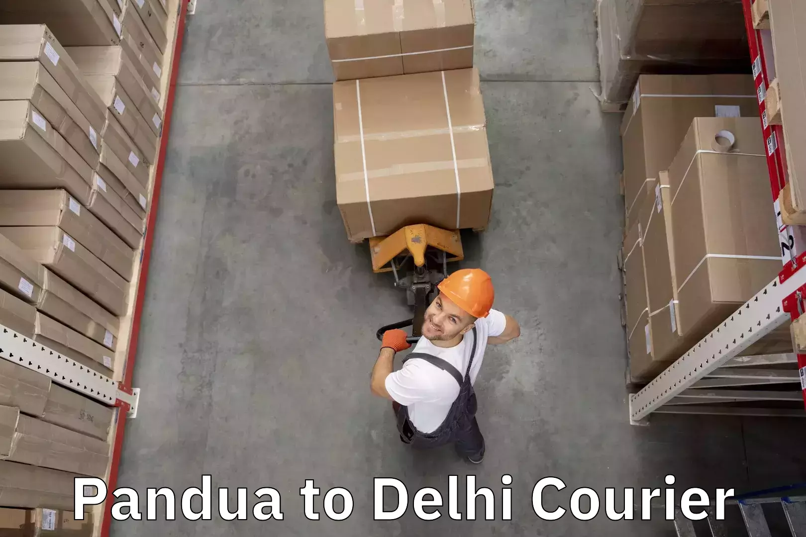 Baggage delivery planning in Pandua to Sansad Marg