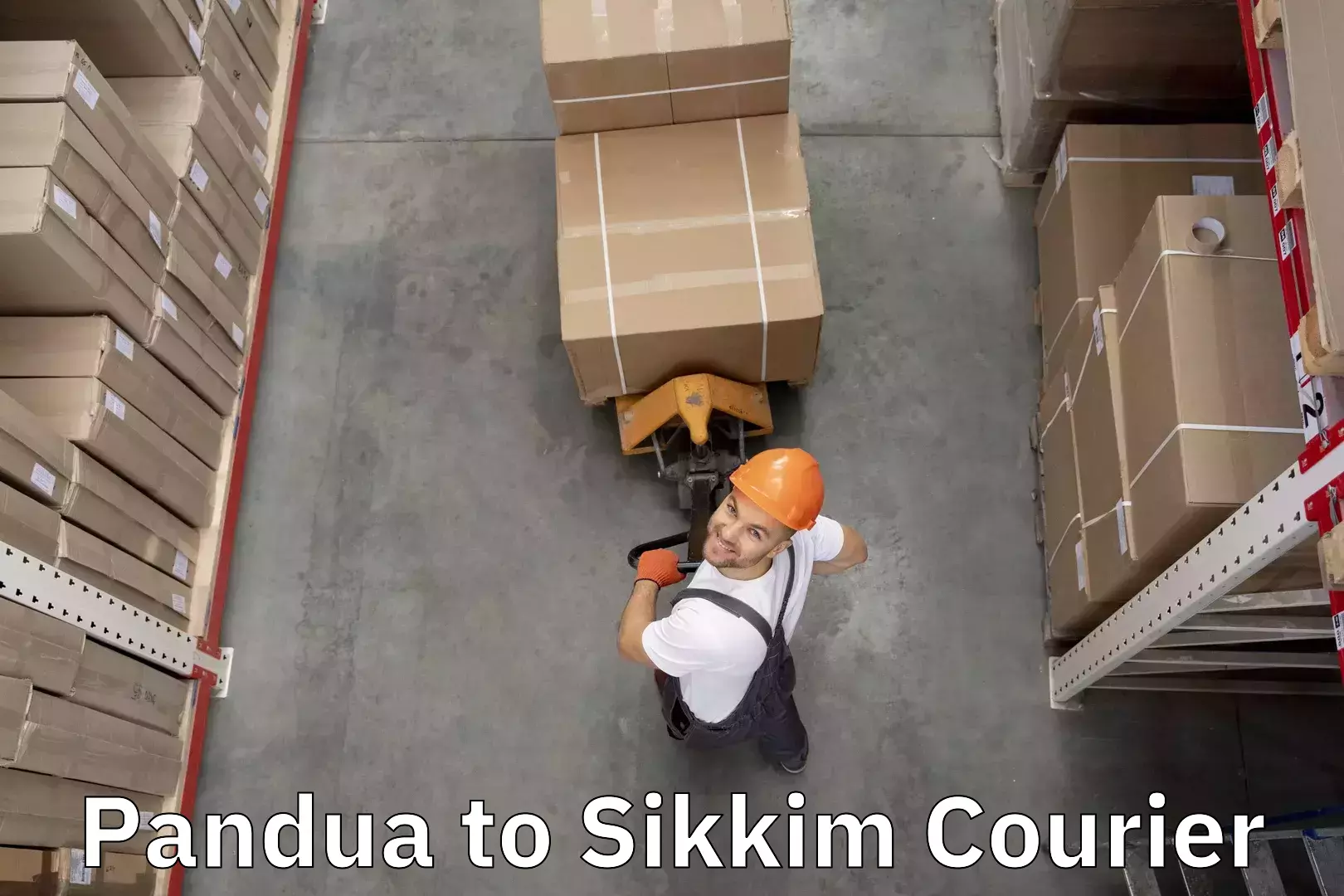 Luggage shipping solutions Pandua to East Sikkim
