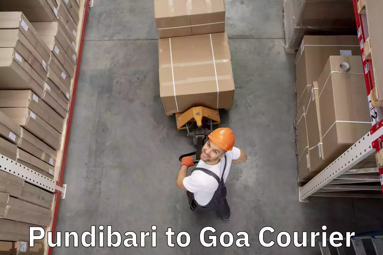 Express baggage shipping Pundibari to Goa University