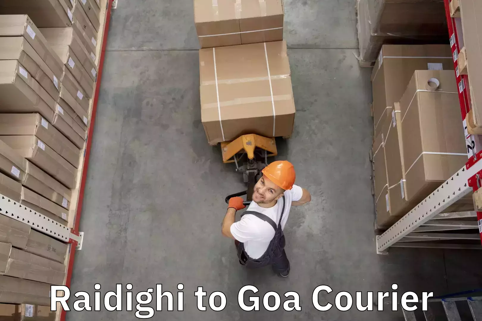 Budget-friendly baggage courier Raidighi to Goa University