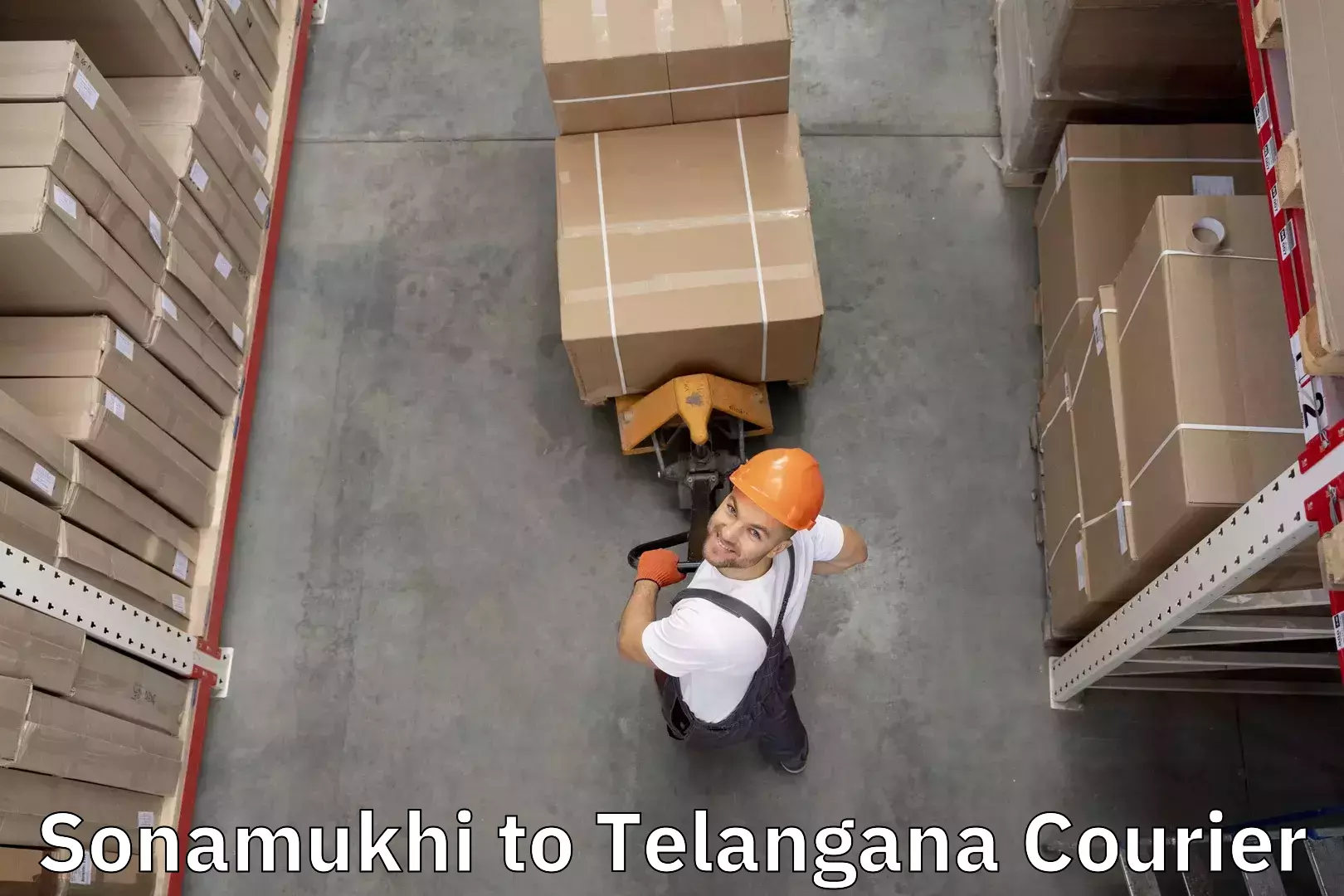 Baggage shipping service Sonamukhi to Manthani