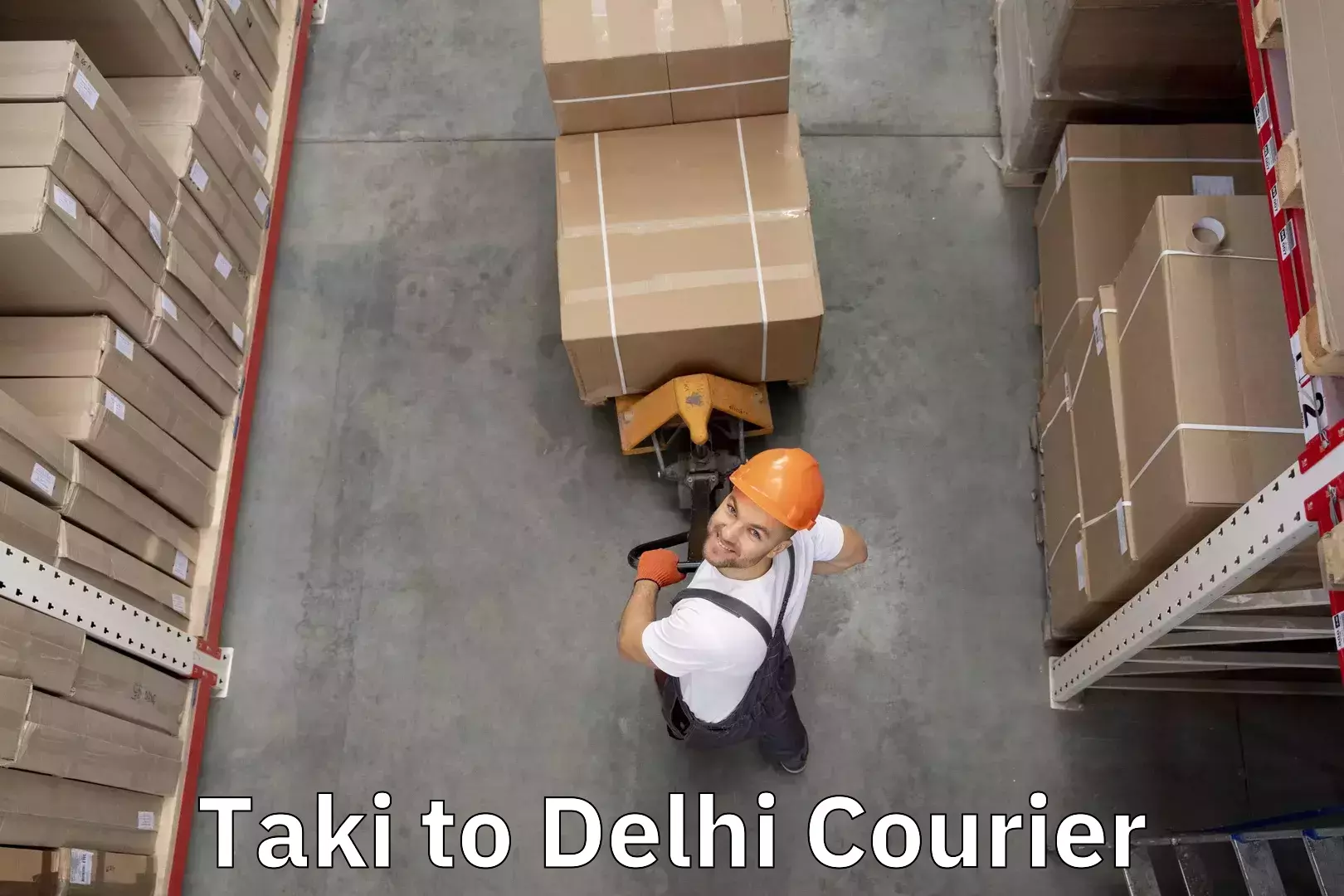 Streamlined baggage courier Taki to Naraina Industrial Estate