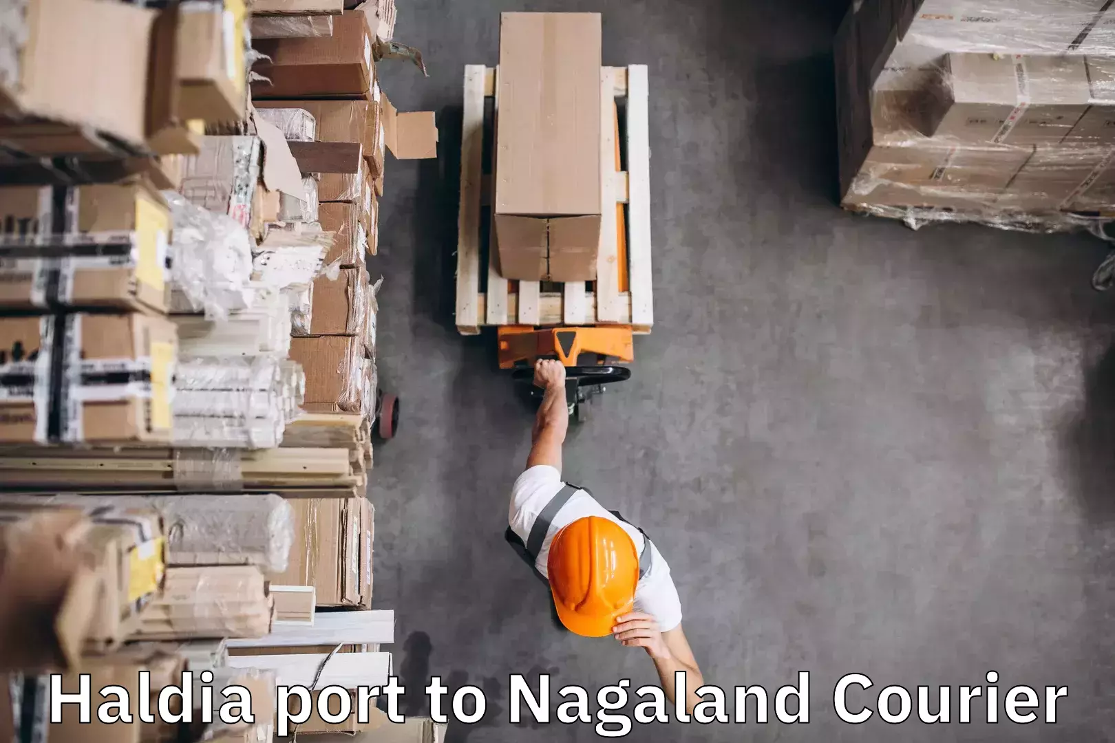 Nationwide luggage courier in Haldia port to Nagaland