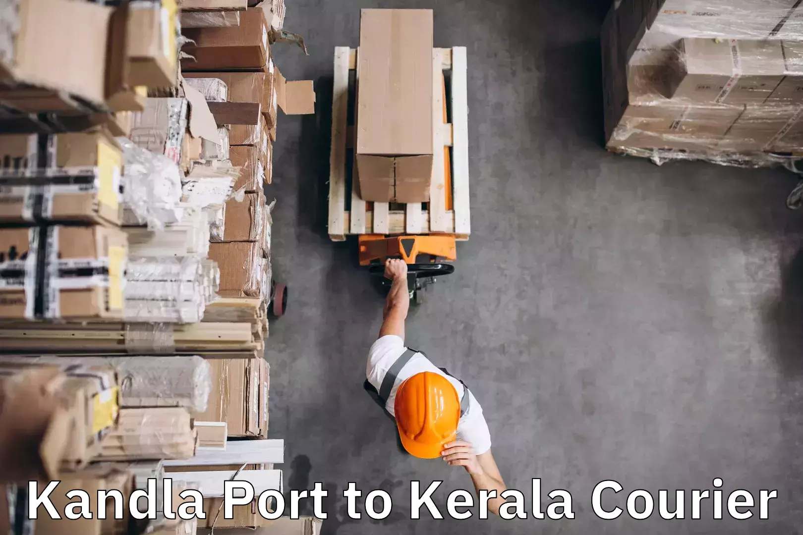 Luggage courier excellence Kandla Port to Kothanalloor