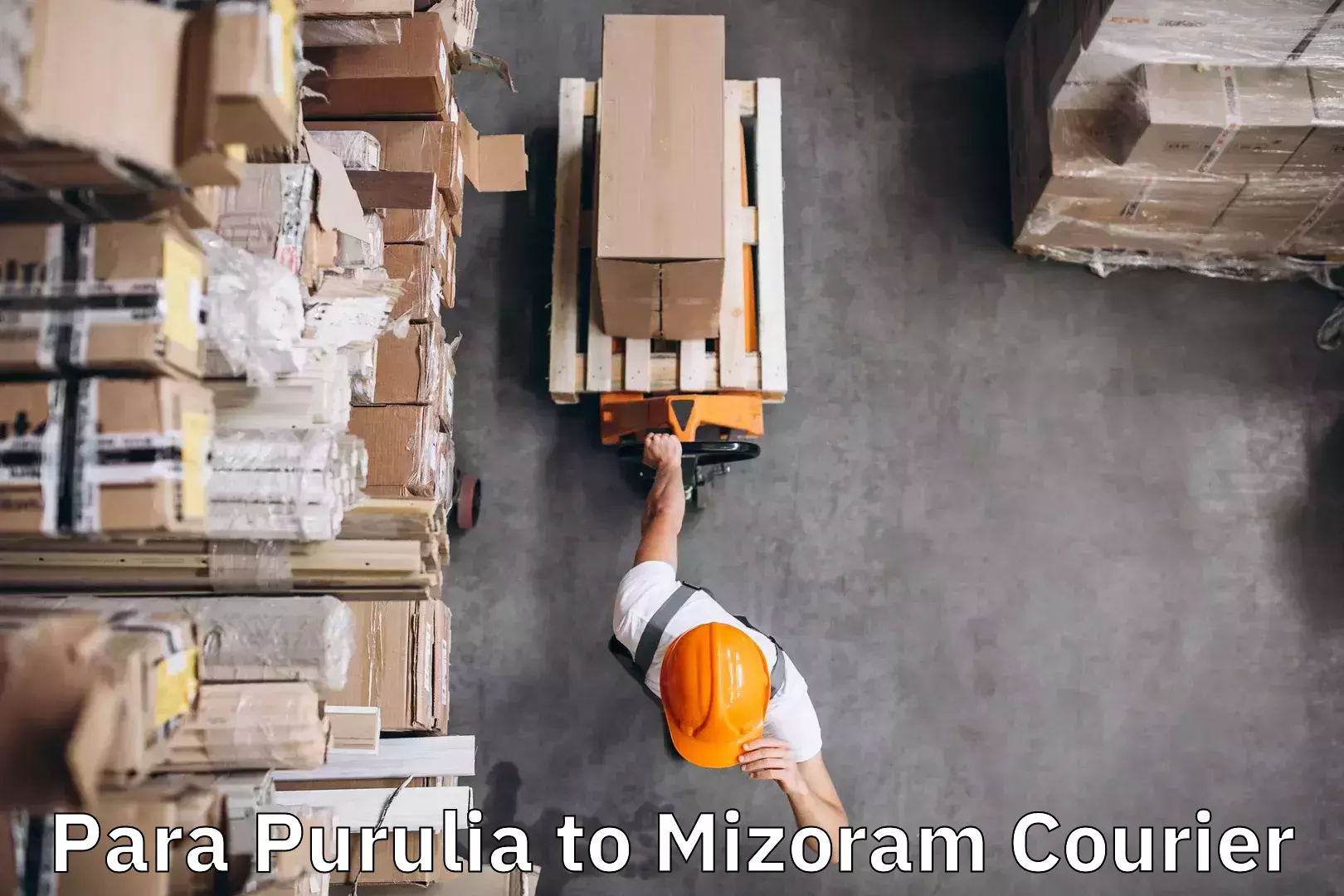 Advanced baggage shipping Para Purulia to Mizoram University Aizawl