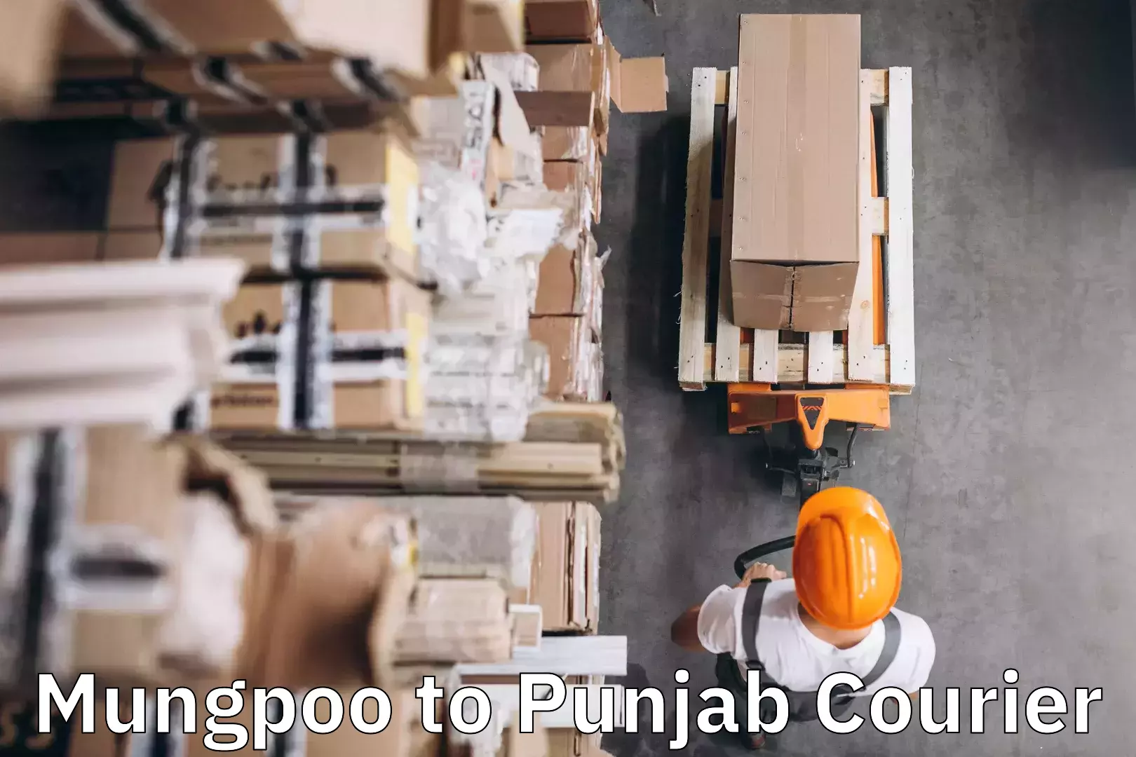 Premium luggage courier Mungpoo to Batala