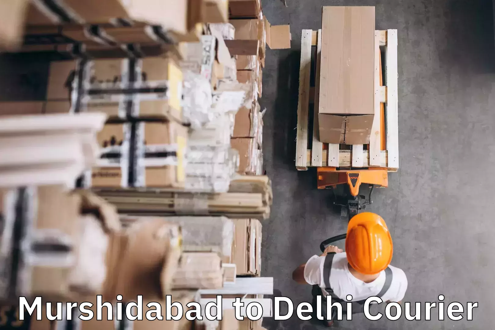 Electronic items luggage shipping Murshidabad to East Delhi