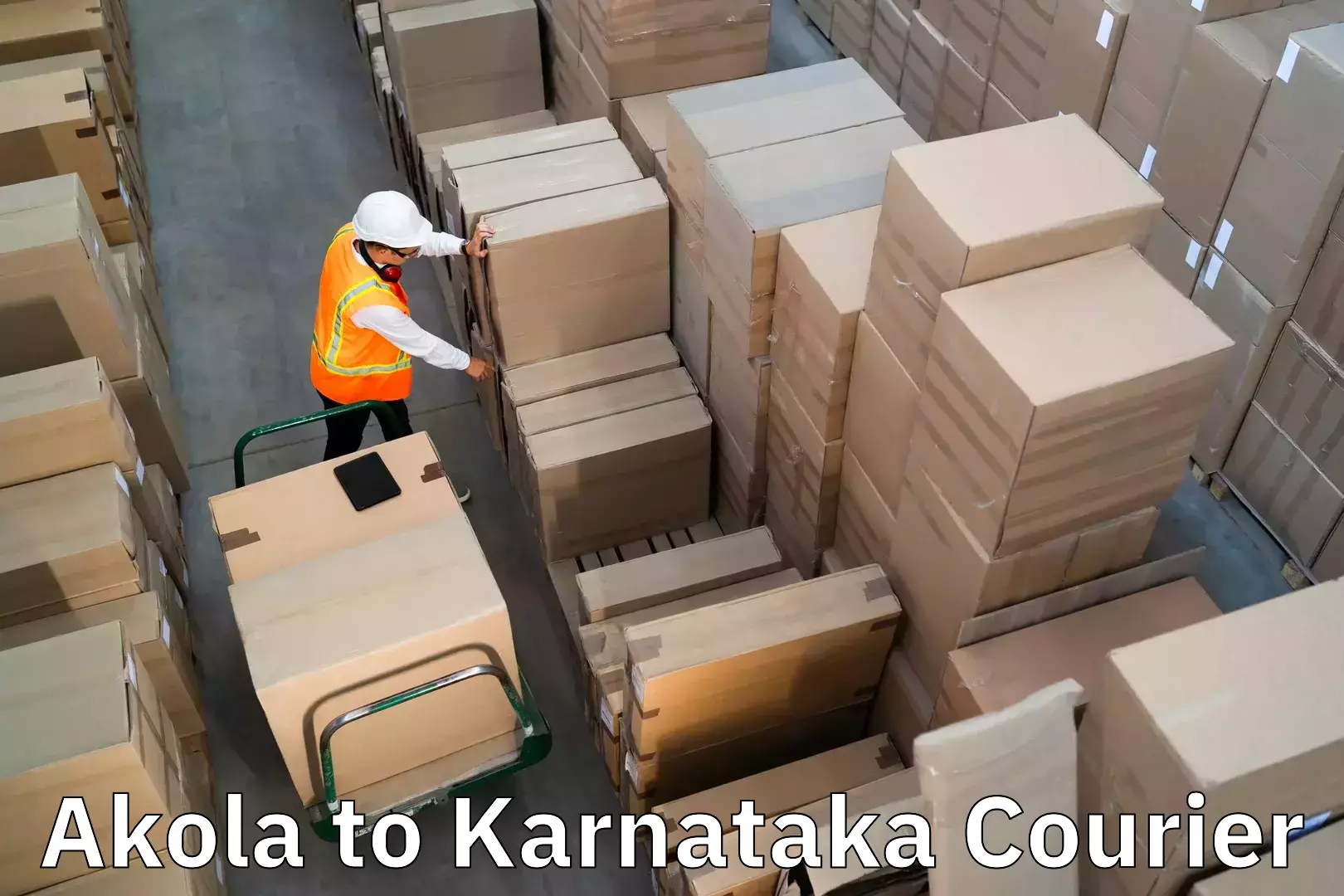 Luggage delivery system Akola to Yellapur