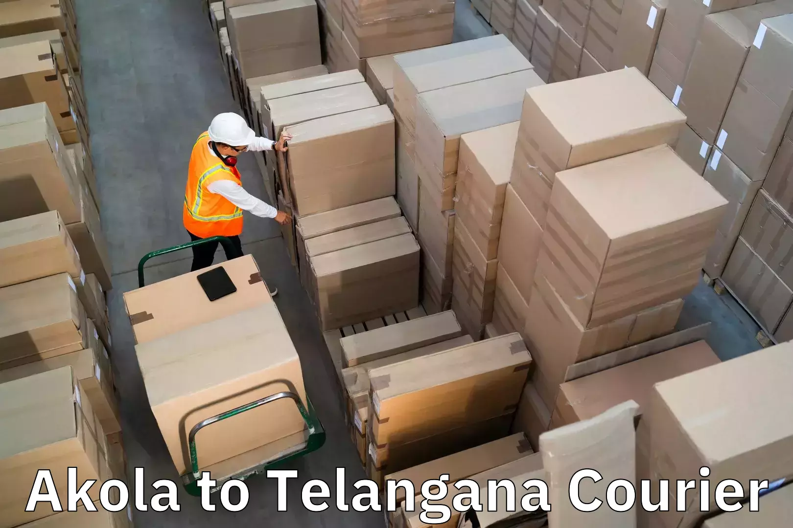 Business luggage transport Akola to Telangana