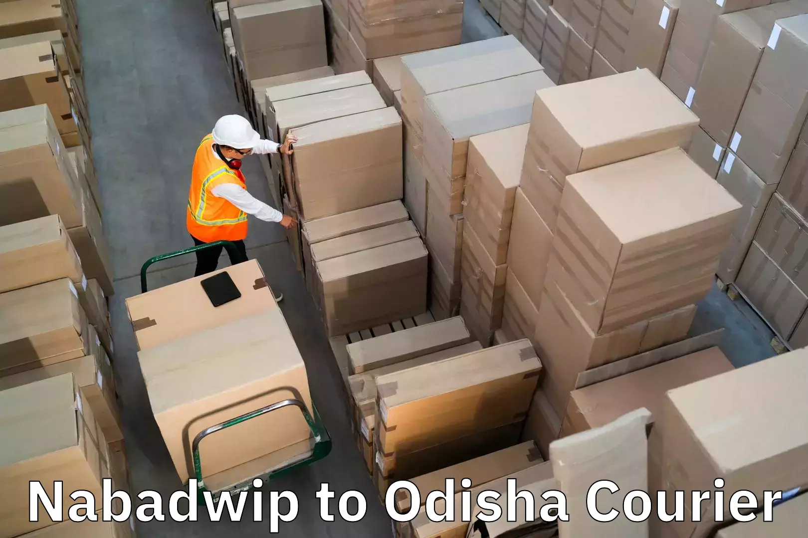 Excess baggage transport Nabadwip to Odisha