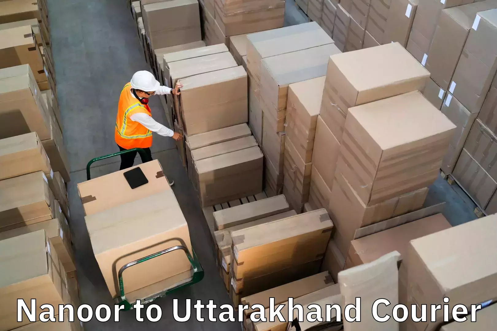 Luggage shipping efficiency Nanoor to Joshimath