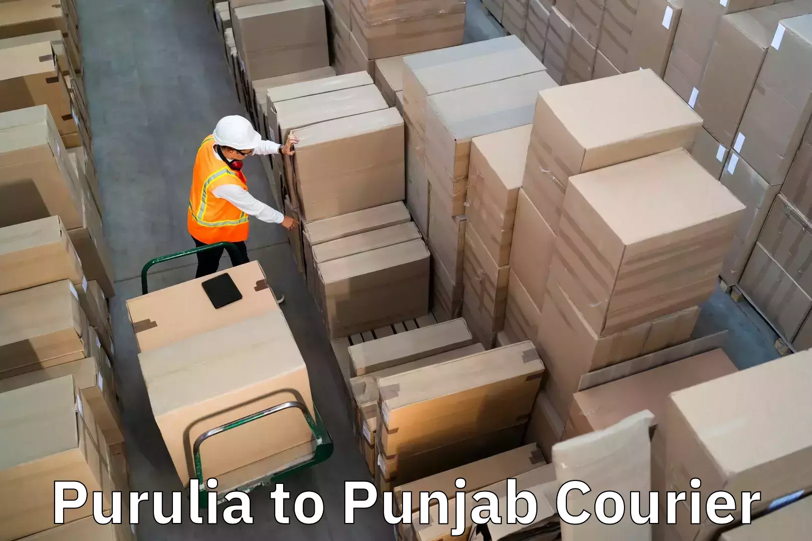 Baggage delivery support Purulia to Sangrur