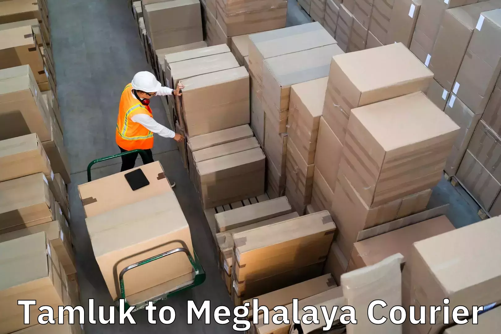 Electronic items luggage shipping in Tamluk to NIT Meghalaya