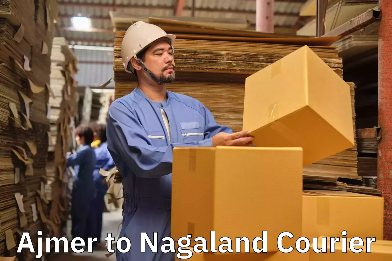 Hassle-free luggage shipping Ajmer to NIT Nagaland