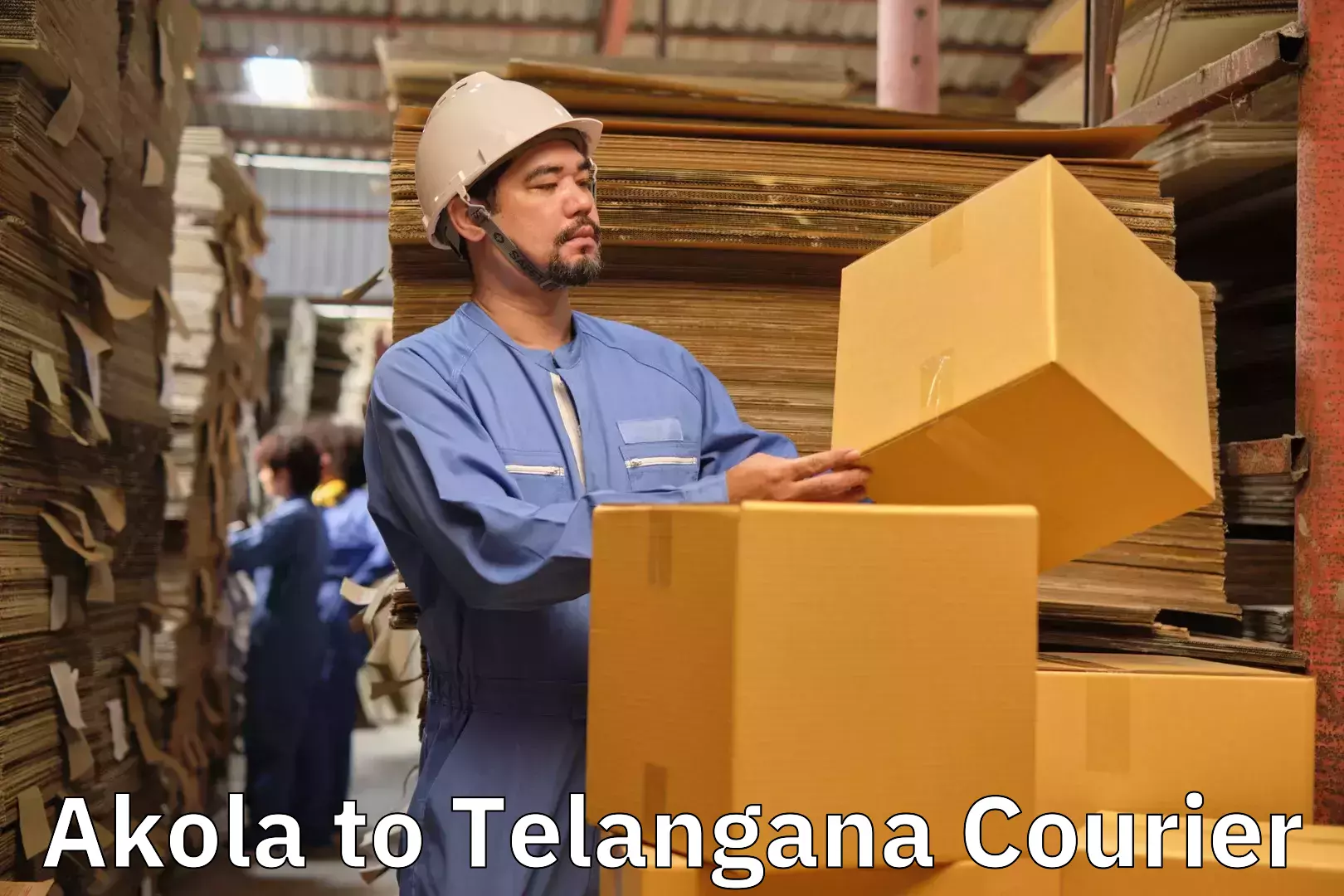 Direct baggage courier Akola to Telangana
