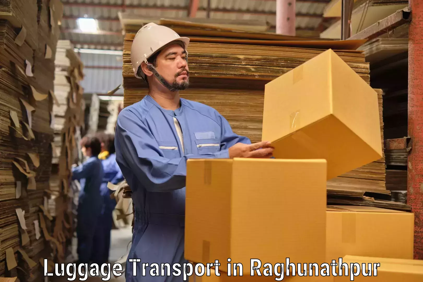 Luggage delivery providers in Raghunathpur