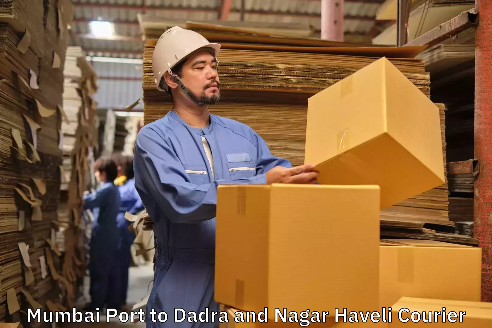 Luggage delivery logistics in Mumbai Port to Silvassa