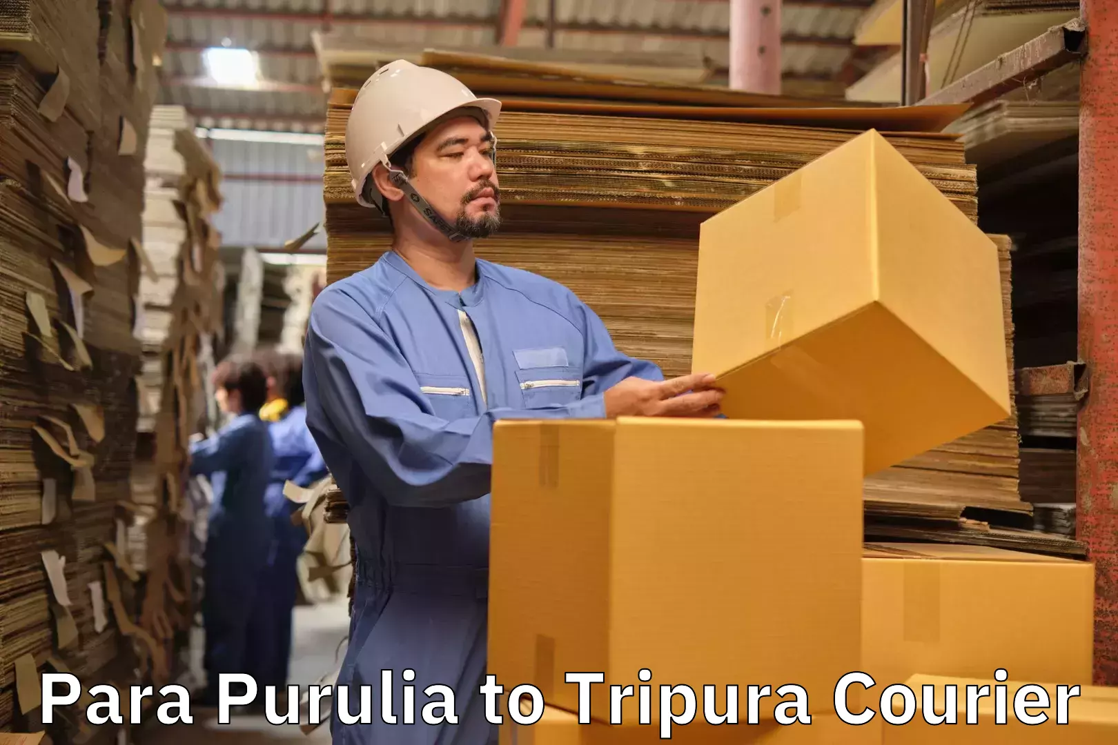 Innovative luggage delivery Para Purulia to Santirbazar