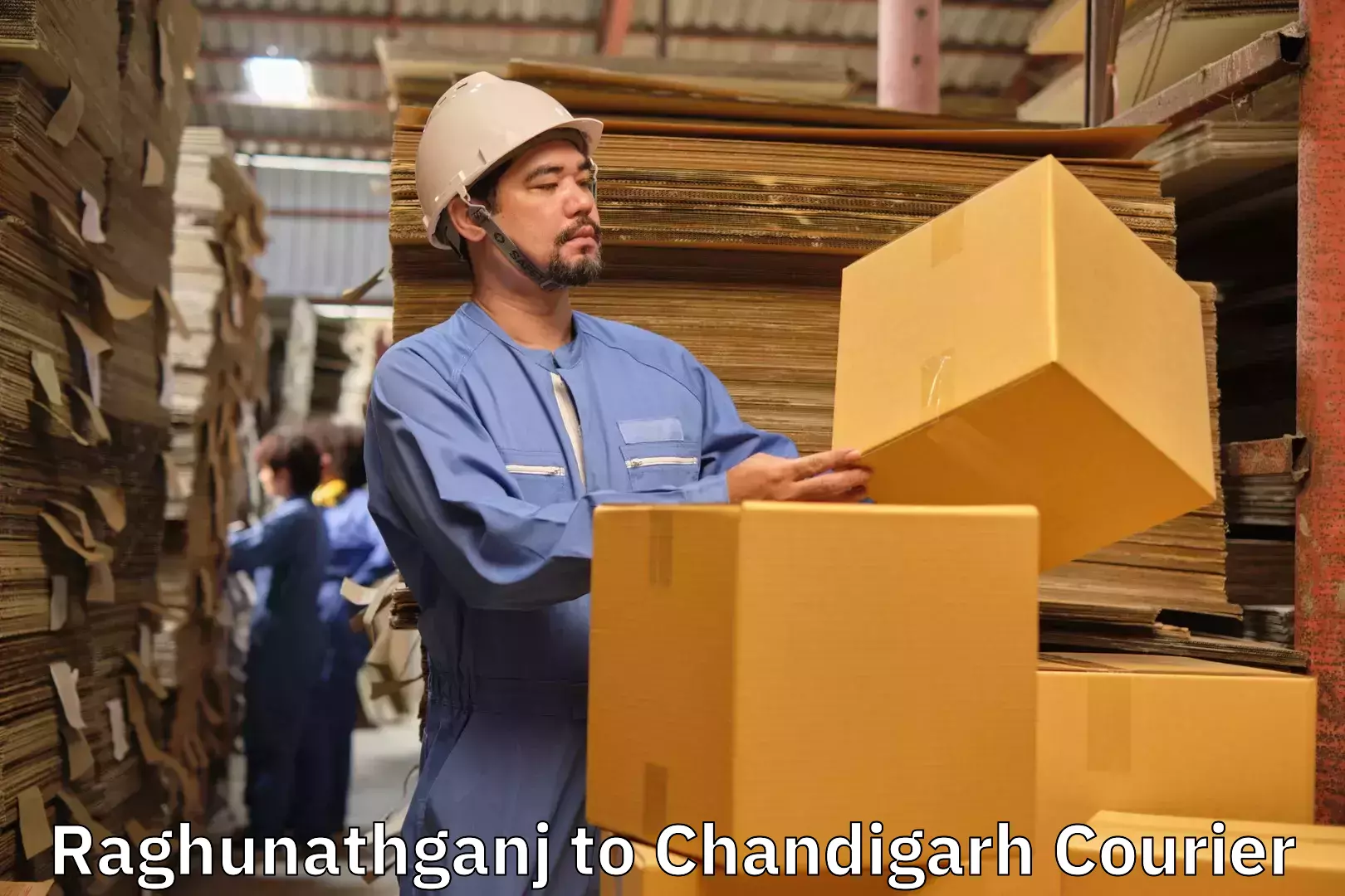 Luggage courier network Raghunathganj to Chandigarh