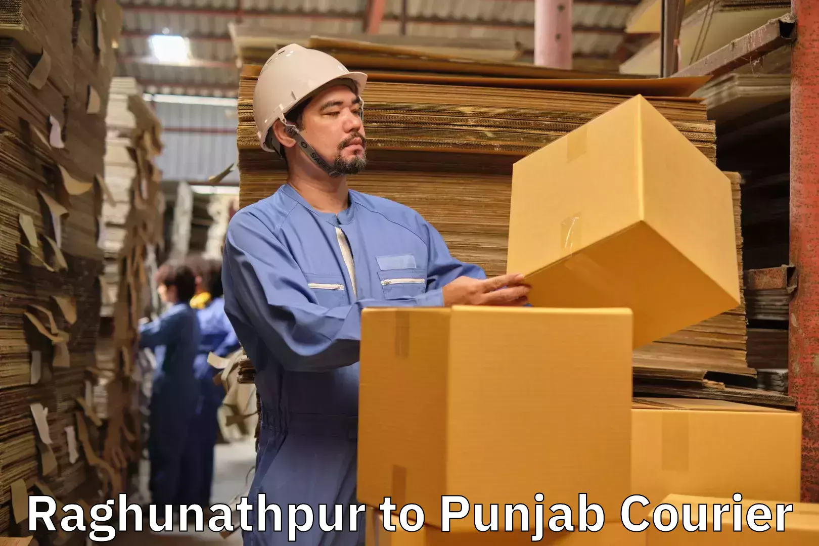 Luggage shipping solutions Raghunathpur to Patiala