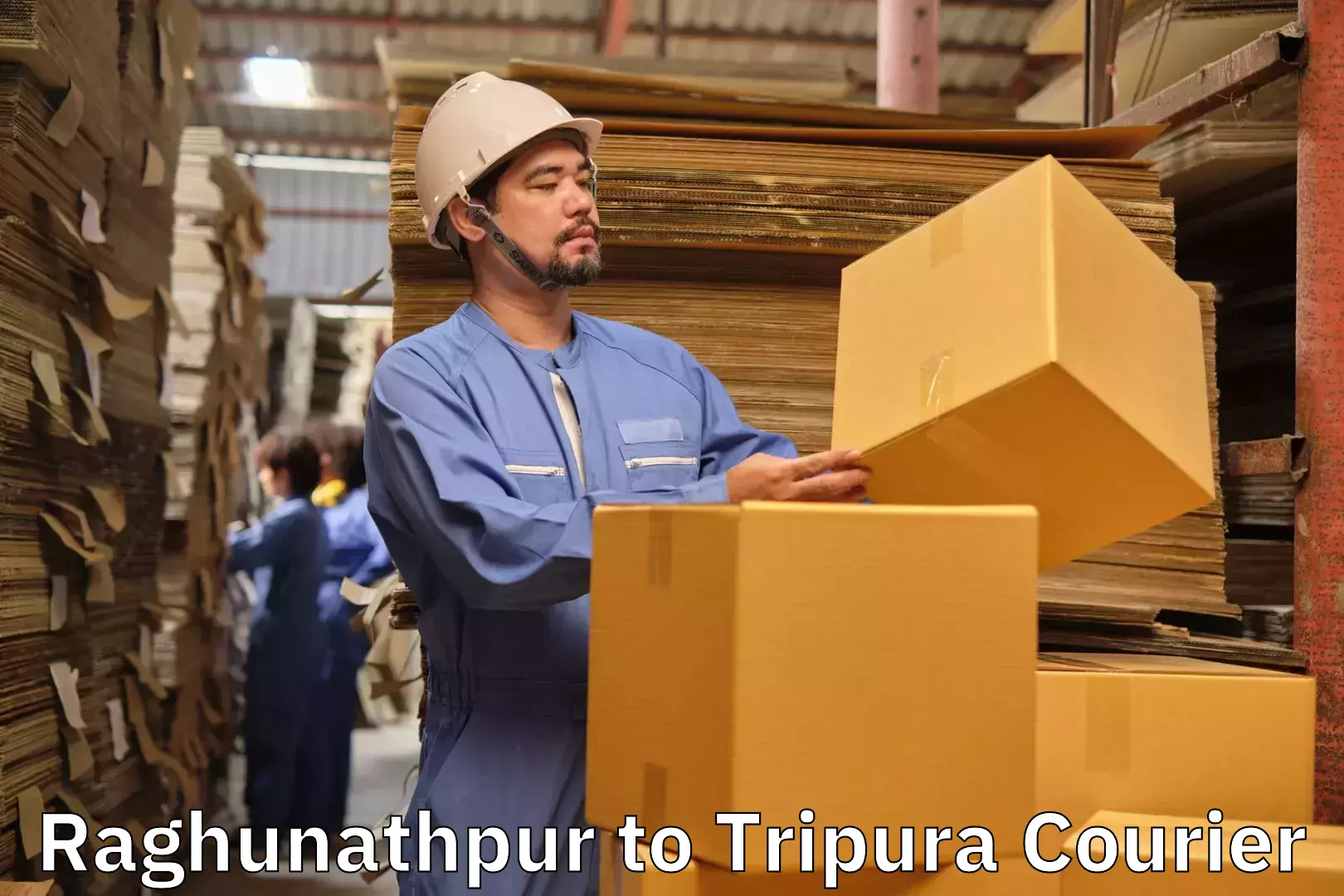 Luggage delivery app Raghunathpur to Udaipur Tripura