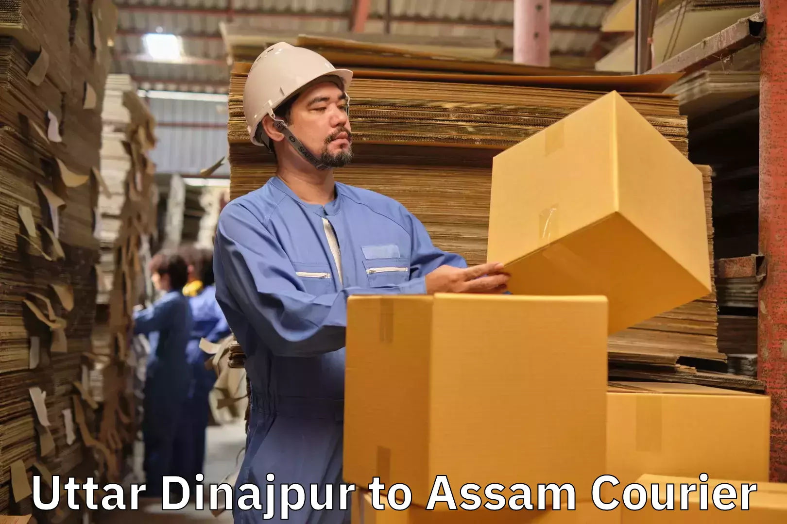 Luggage shipment processing Uttar Dinajpur to Dhekiajuli