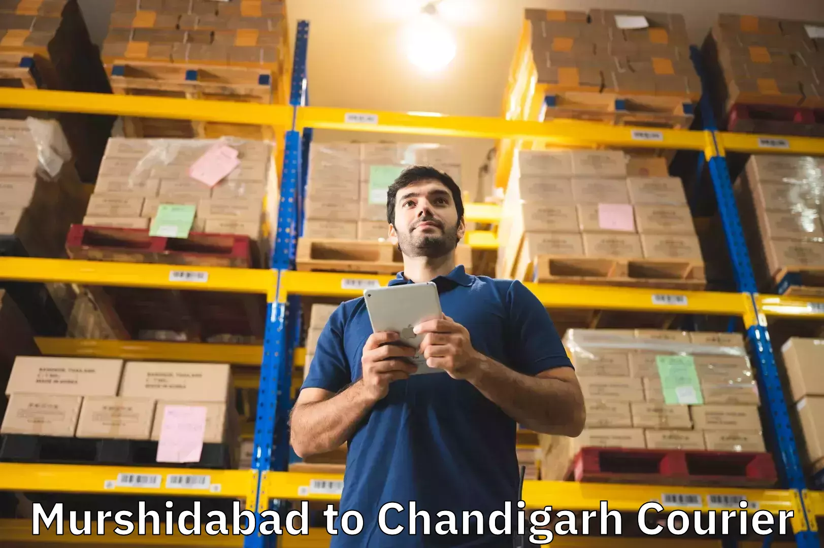 Luggage shipping rates Murshidabad to Chandigarh