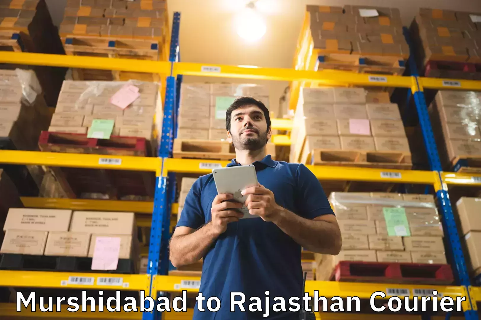 Versatile luggage courier Murshidabad to Rajasthan