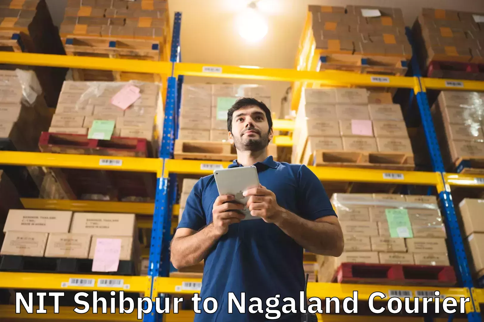 Flexible luggage courier service NIT Shibpur to Kiphire