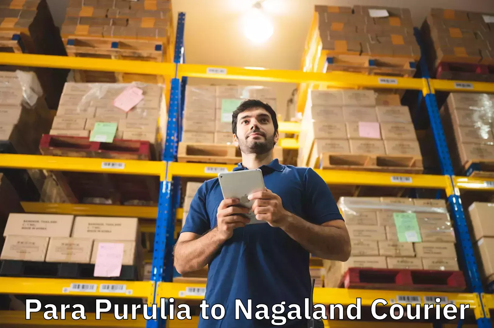 Corporate baggage transport Para Purulia to NIT Nagaland