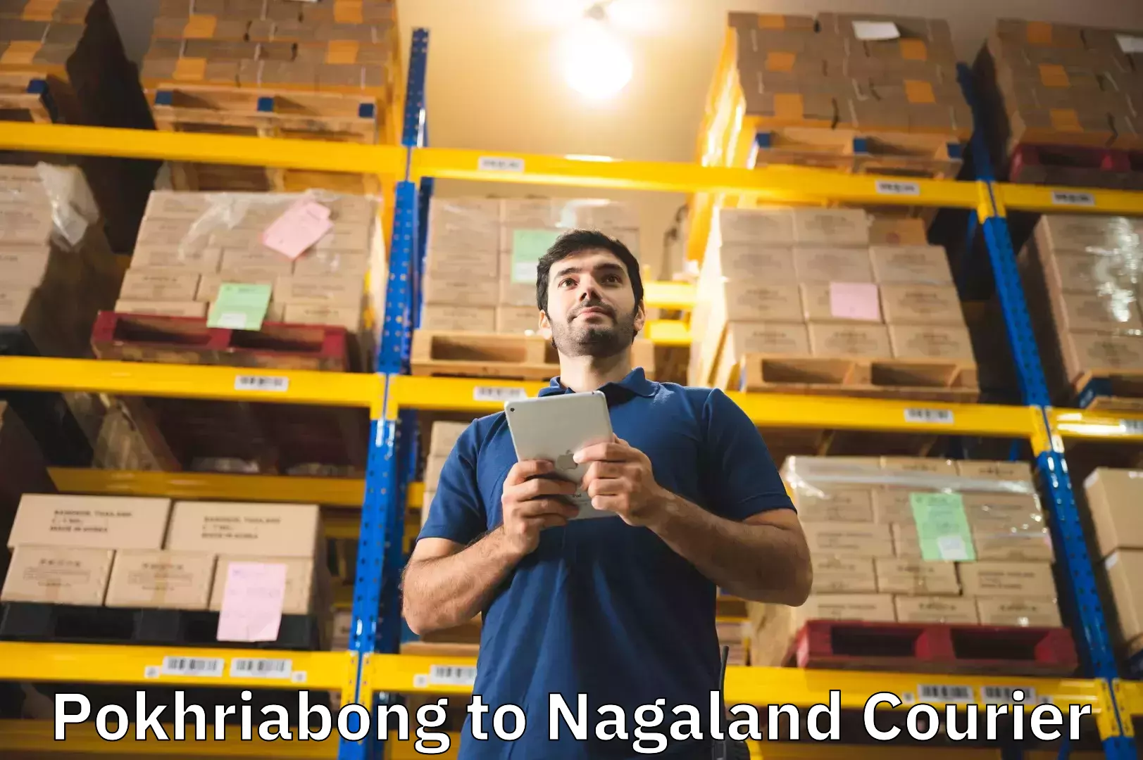 Bulk luggage shipping Pokhriabong to Nagaland