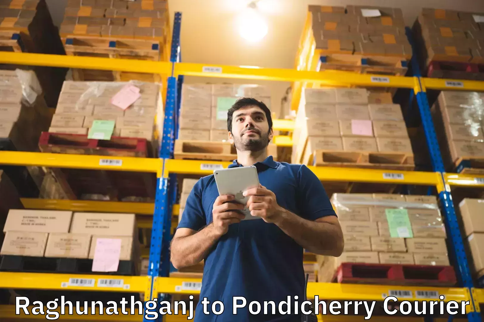 Baggage delivery solutions Raghunathganj to Pondicherry