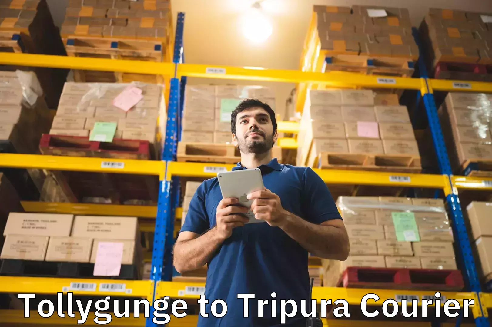 Luggage shipping consultation Tollygunge to Agartala
