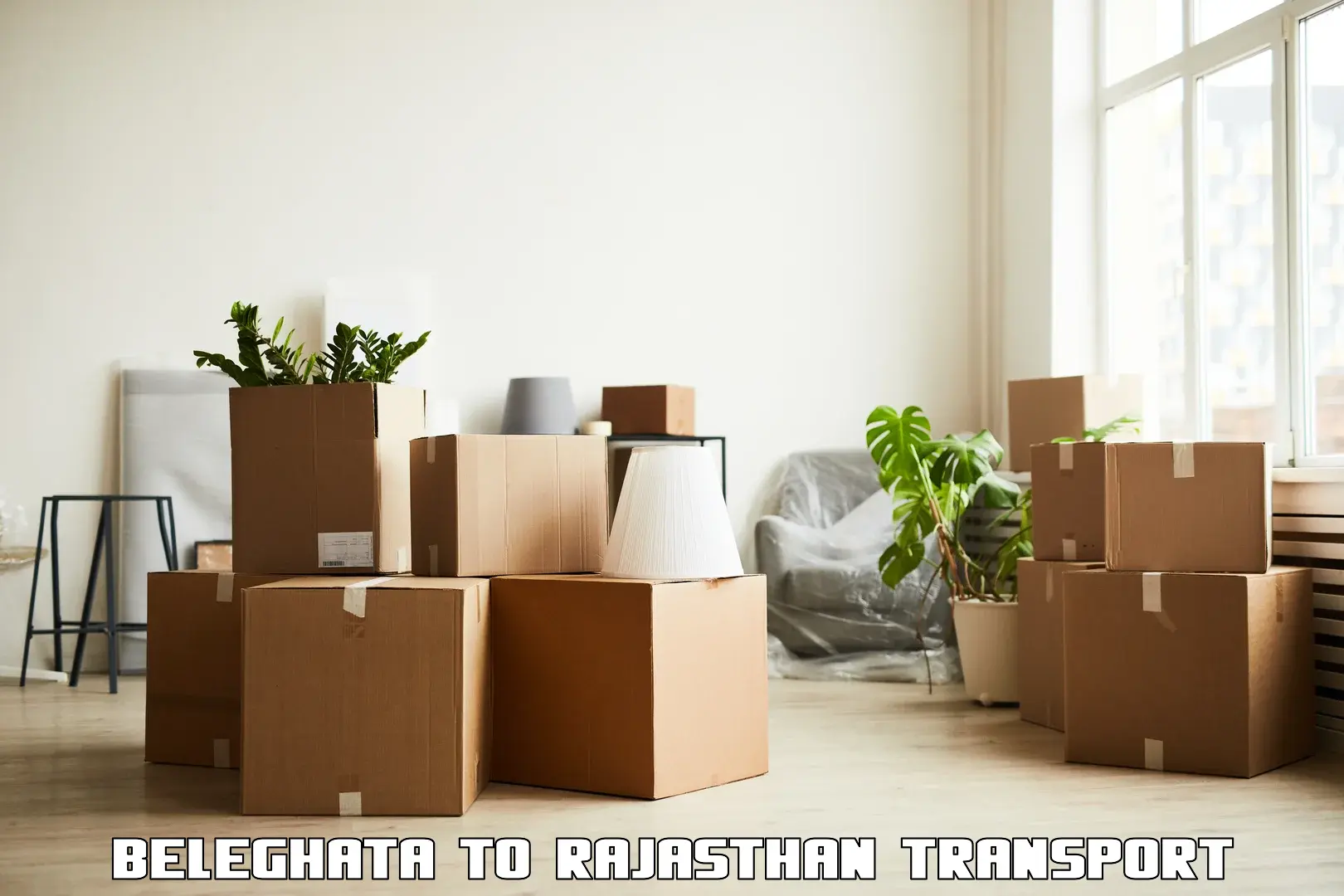 Luggage transport services Beleghata to Mathania