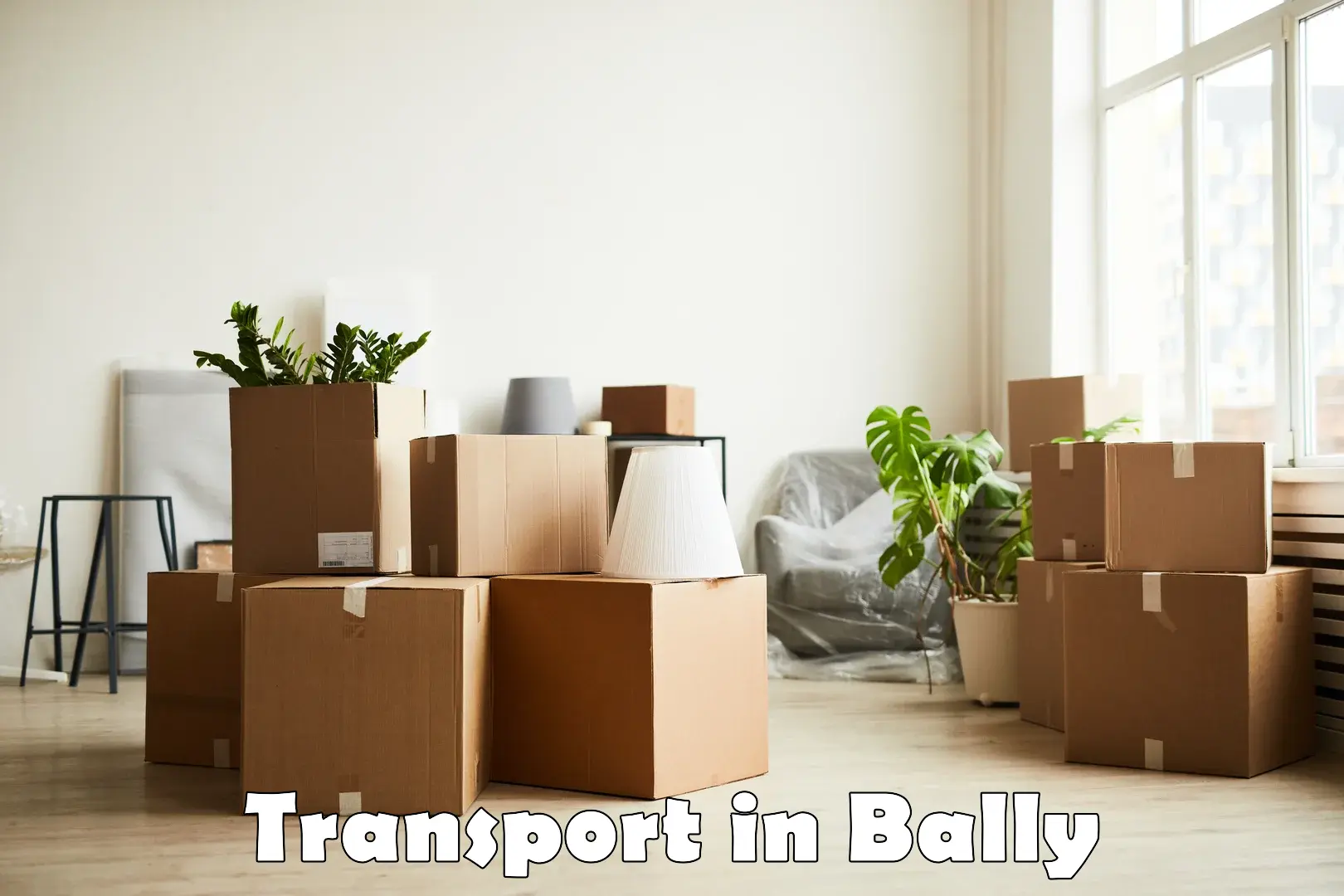 Domestic transport services in Bally